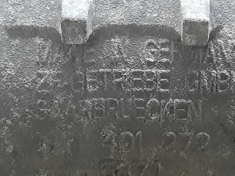 Cambio 1071301272 N47D20C 177CV 130KW Bmw X3 E83 2004