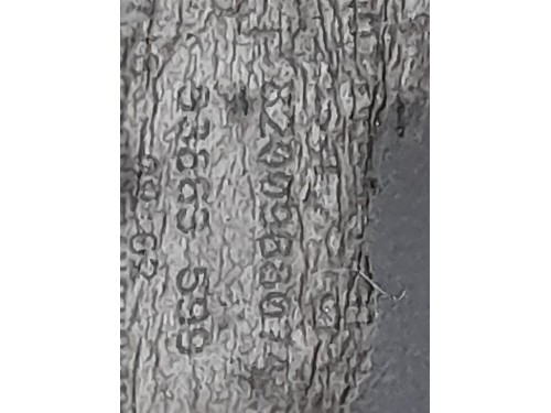 Fanale EST POST SX 93863-599 Renault Trafic III 2007