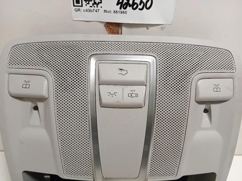 LUCE DI Cortesia Abitacolo A1669008806 Mercedes Classe ML W166 2012