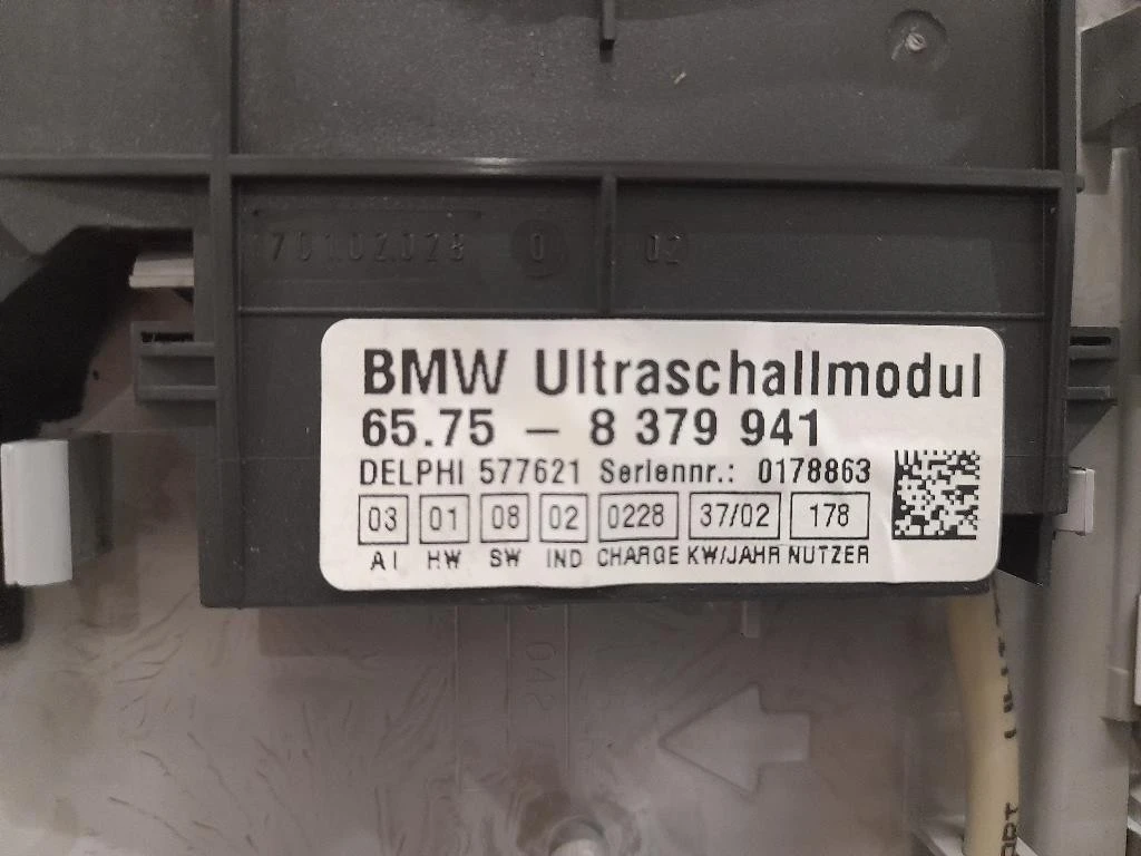 LUCE DI Cortesia Abitacolo ANT 63316962046 65758379941 Bmw X5 E53 2000