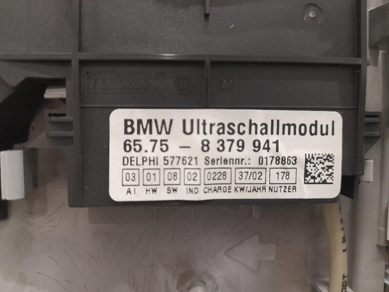 LUCE DI Cortesia Abitacolo ANT 63316962046 65758379941 Bmw X5 E53 2000