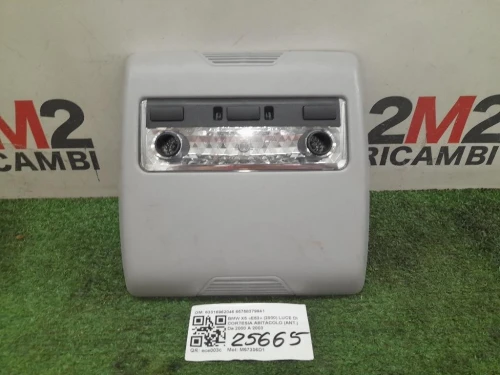 LUCE DI Cortesia Abitacolo ANT 63316962046 65758379941 Bmw X5 E53 2000