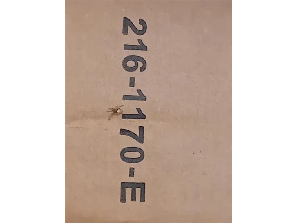 Proiettore ANT SX 216-1170 E Mazda 2 III 2014