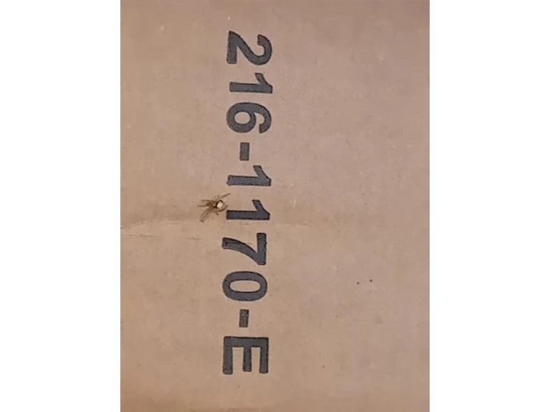 Proiettore ANT SX 216-1170 E Mazda 2 III 2014