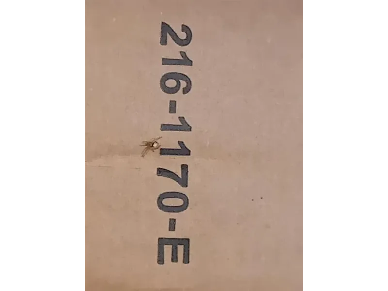 Proiettore ANT SX 216-1170 E Mazda 2 III 2014