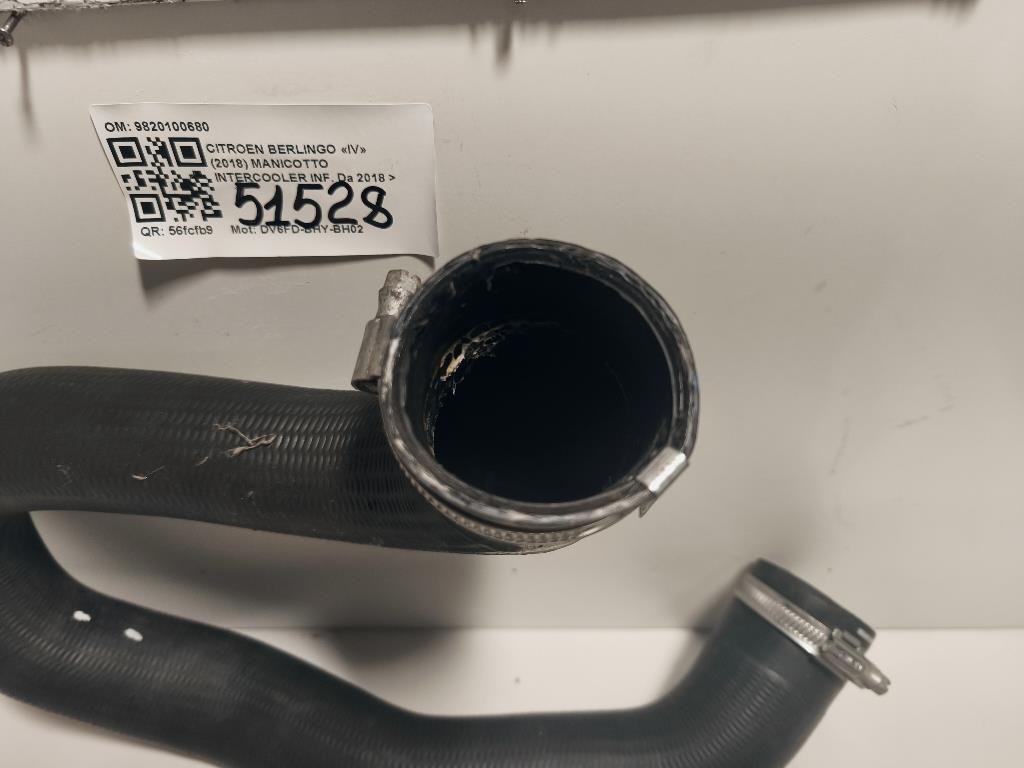 Manicotto Intercooler INF 9820100680 Citroen Berlingo IV 2018