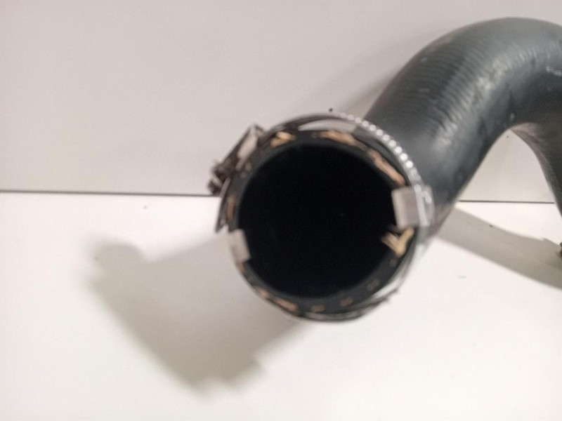 Manicotto Intercooler INF L1B1-6C646 Ford PUMA II 2019