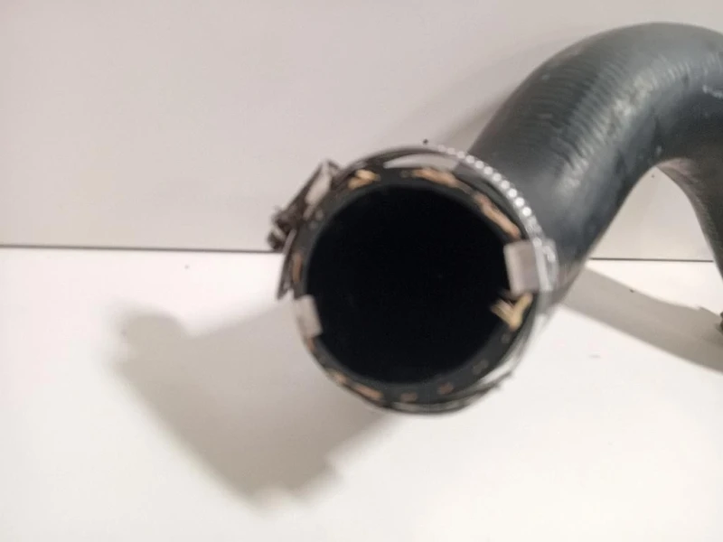 Manicotto Intercooler INF L1B1-6C646 Ford PUMA II 2019