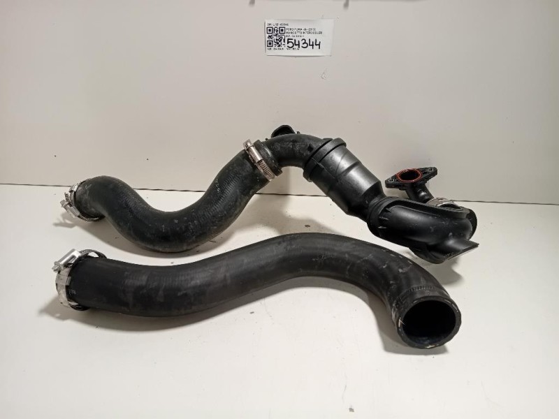 Manicotto Intercooler INF L1B1-6C646 Ford PUMA II 2019