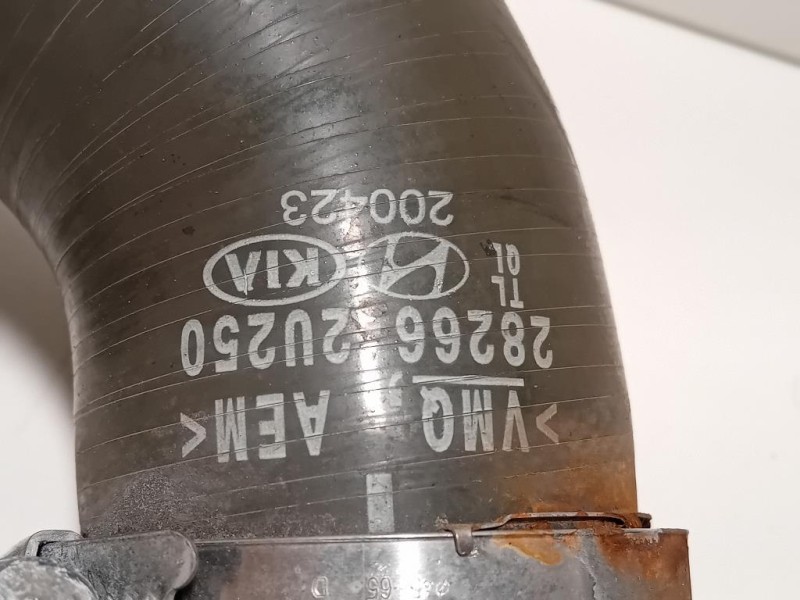 Manicotto Intercooler INF 28266-2U250 Kia Sportage IV 2018