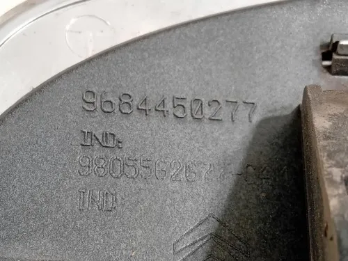 Maniglia Portello EST POST 9684450277 Citroen C3 Picasso 2013