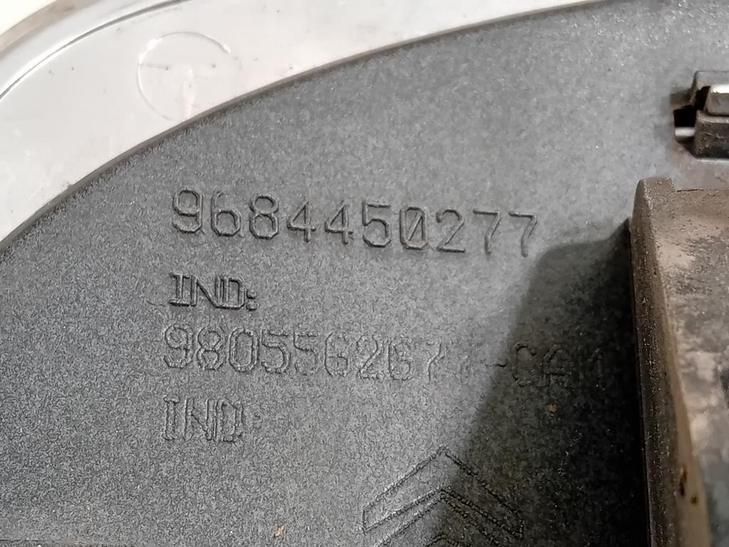 Maniglia Portello EST POST 9684450277 Citroen C3 Picasso 2013