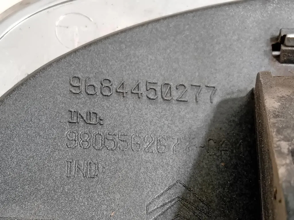 Maniglia Portello EST POST 9684450277 Citroen C3 Picasso 2013