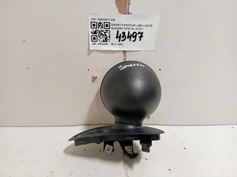 Quadro SPIE A4539011200 Smart Forfour 453 2015