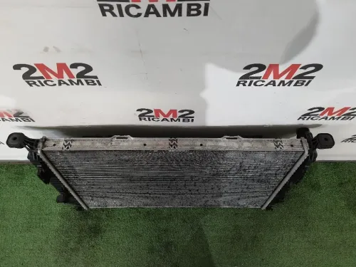 Radiatore Acqua 8K0121251AA Audi Q5 8RB 2009