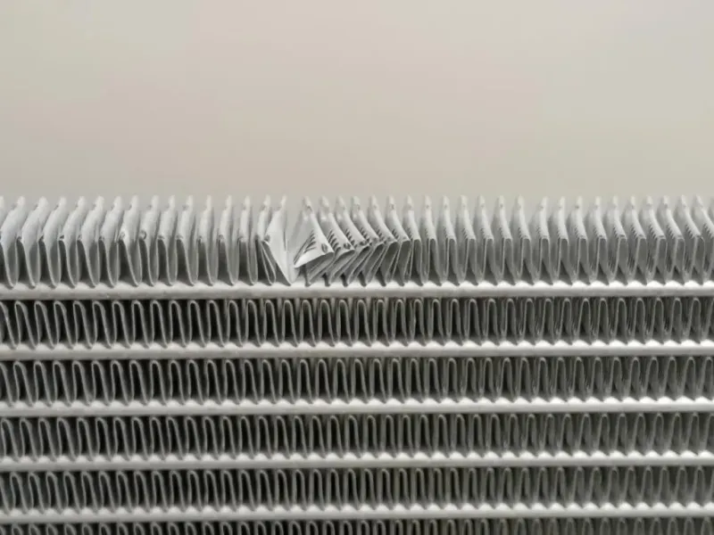 Radiatore Acqua XS5H-8005-EA Ford KA II 2009