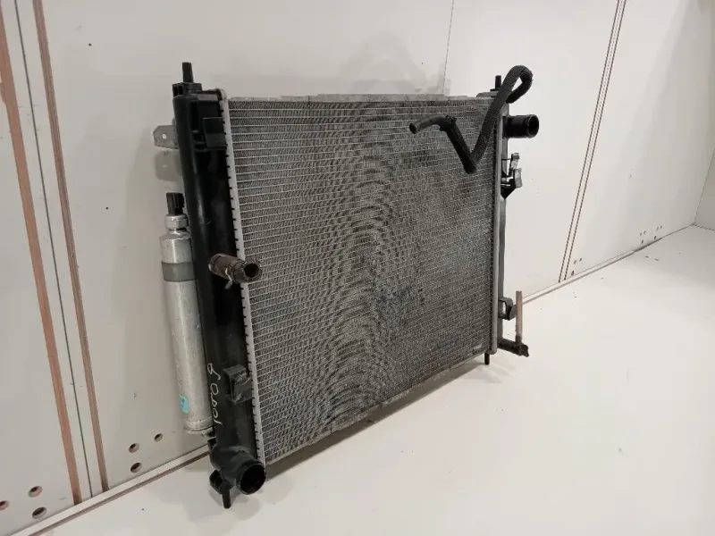 Radiatore Acqua 21410BA60A 110822 Nissan JUKE I 2010