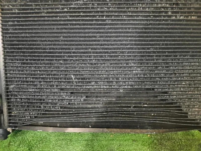 Radiatore Acqua Renault Kangoo III 2008