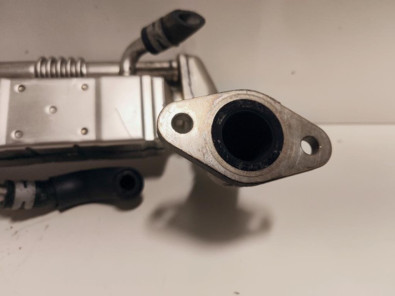 Modanatura Adesiva Porta ANT DX BK21-V20780-ACW Ford Transit Custom I 2018