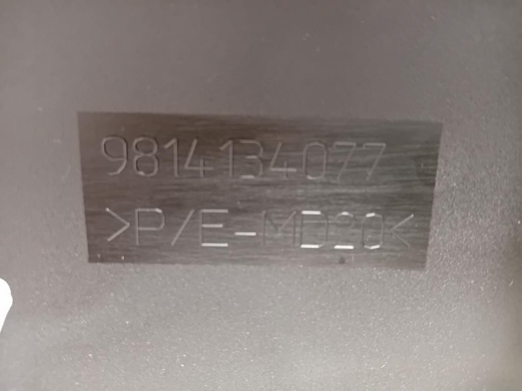 Modanatura Adesiva Porta POST DX 9814134077 Peugeot 3008 II 2016