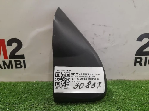 Modanatura Adesiva Retrovisore Esterno DX 735424456 Citroen Jumper III 2014