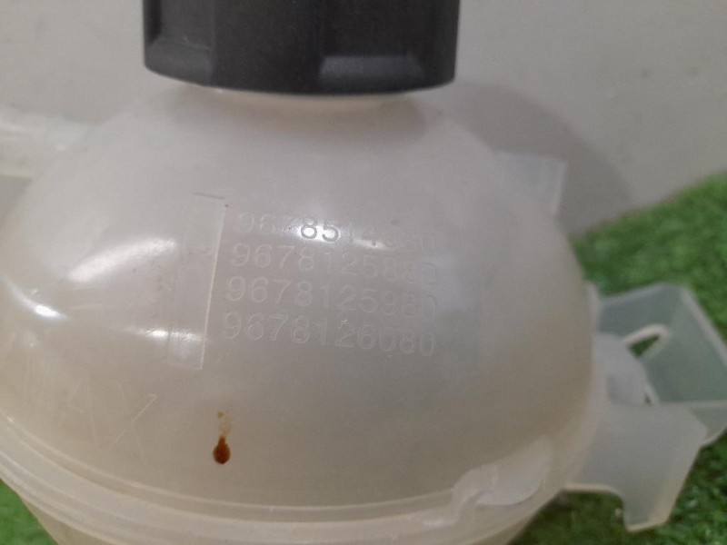 Modanatura Adesiva Retrovisore Esterno DX BK21-V16004-BF Ford Transit V 2011