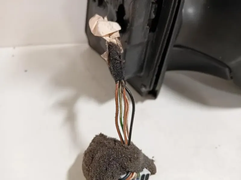 Retrovisore Esterno ANT DX 024813 Ford KA II 2009