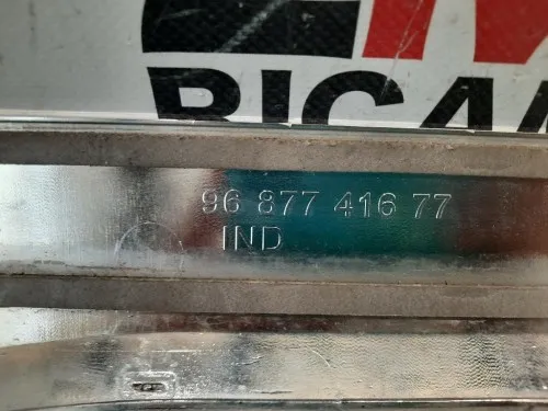 Modanatura Paracolpi Porta ANT SX 9687741677 Citroen DS3 2010