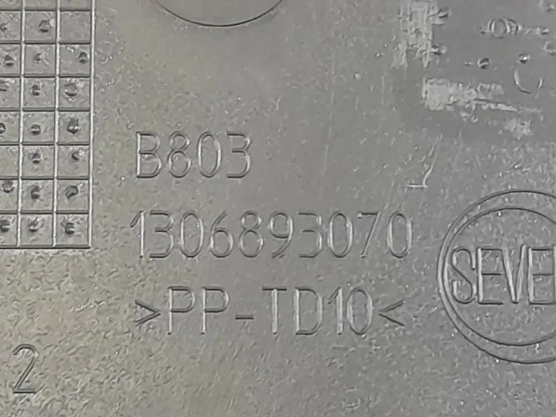 Modanatura Paracolpi Porta INF ANT DX 1306893070 Citroen Jumper III 2014