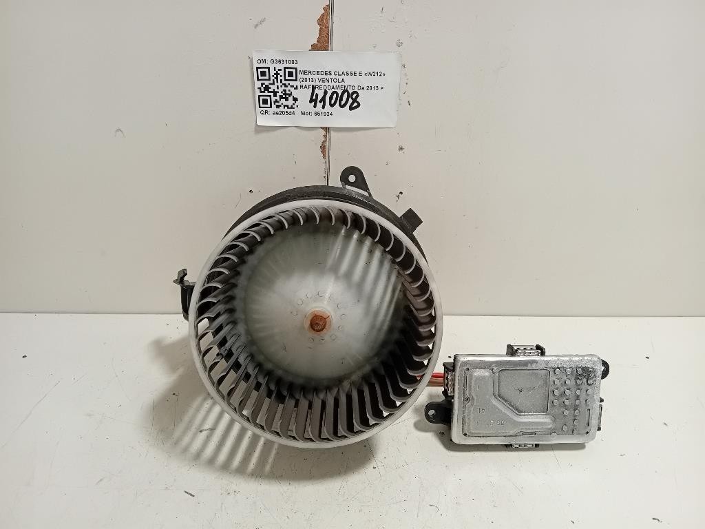 Ventola Raffreddamento G3631003 Mercedes Classe E W212 2013