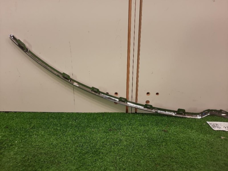 Modanatura Paraurti ANT 39172230 CROMATURA ANTERIORE Opel Grandland X 2021