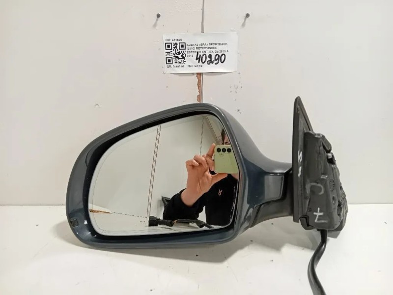Retrovisore Esterno ANT SX 481505 Audi A3 8PA Sportback 2010