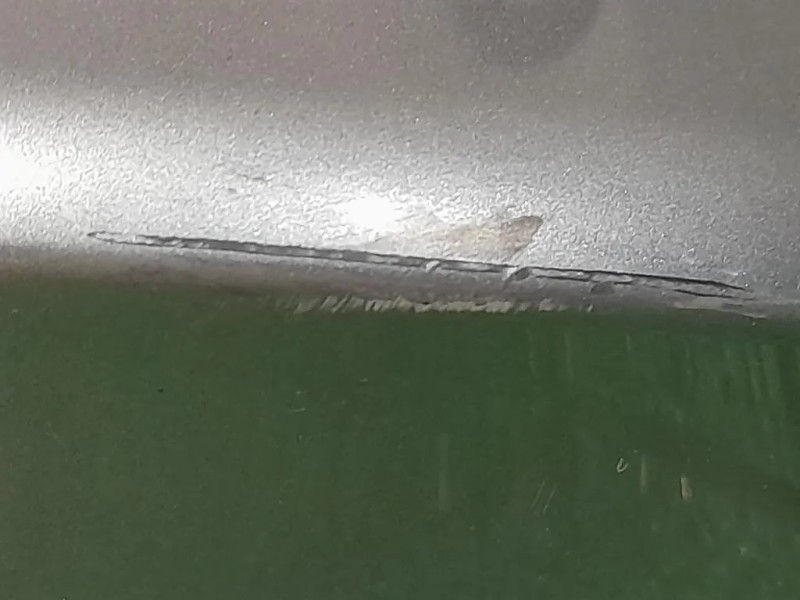 Retrovisore Esterno ANT SX 7119212 Bmw Serie 3 E92 Coupe 2007