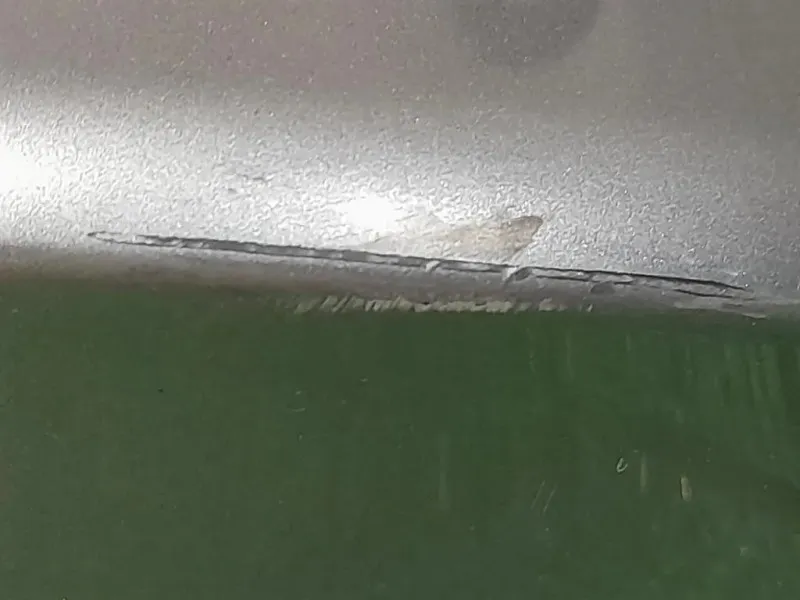 Retrovisore Esterno ANT SX 7119212 Bmw Serie 3 E92 Coupe 2007