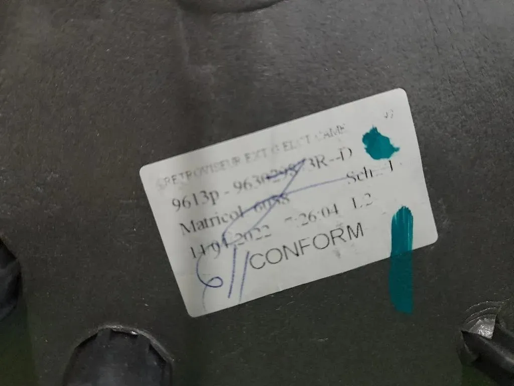 Retrovisore Esterno ANT SX 963029873R Dacia Duster II 2018