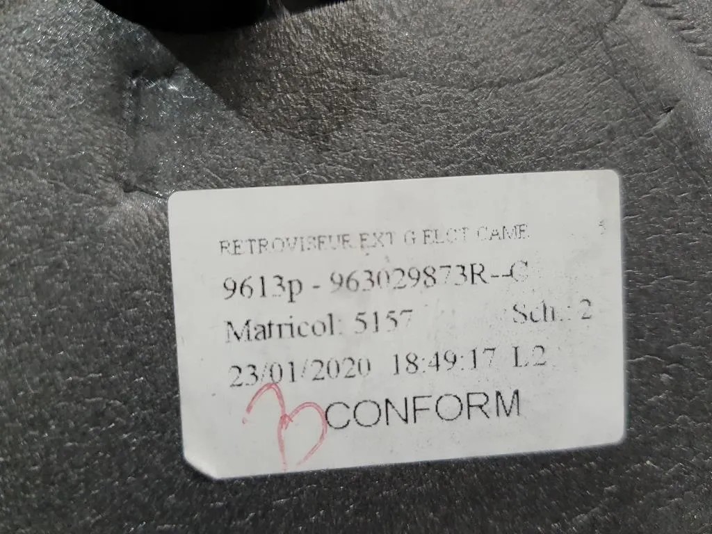 Retrovisore Esterno ANT SX 963029873R Dacia Duster II 2018