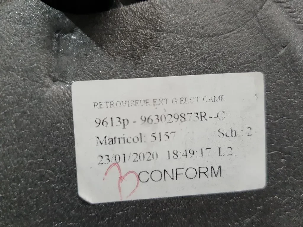 Retrovisore Esterno ANT SX 963029873R Dacia Duster II 2018