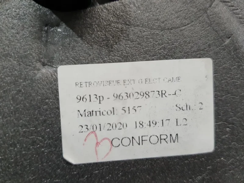 Retrovisore Esterno ANT SX 963029873R Dacia Duster II 2018