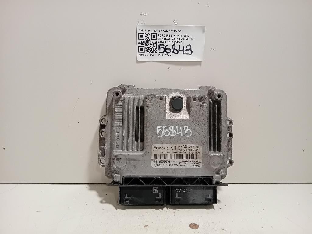 Centralina Iniezione F1B1-12A650-AJD Ford Fiesta VI 2012
