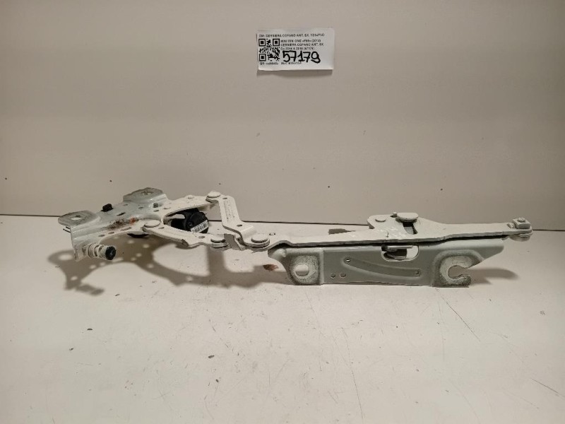 Cerniera Cofano ANT SX 730056512X Mini MINI ONE F55 2014