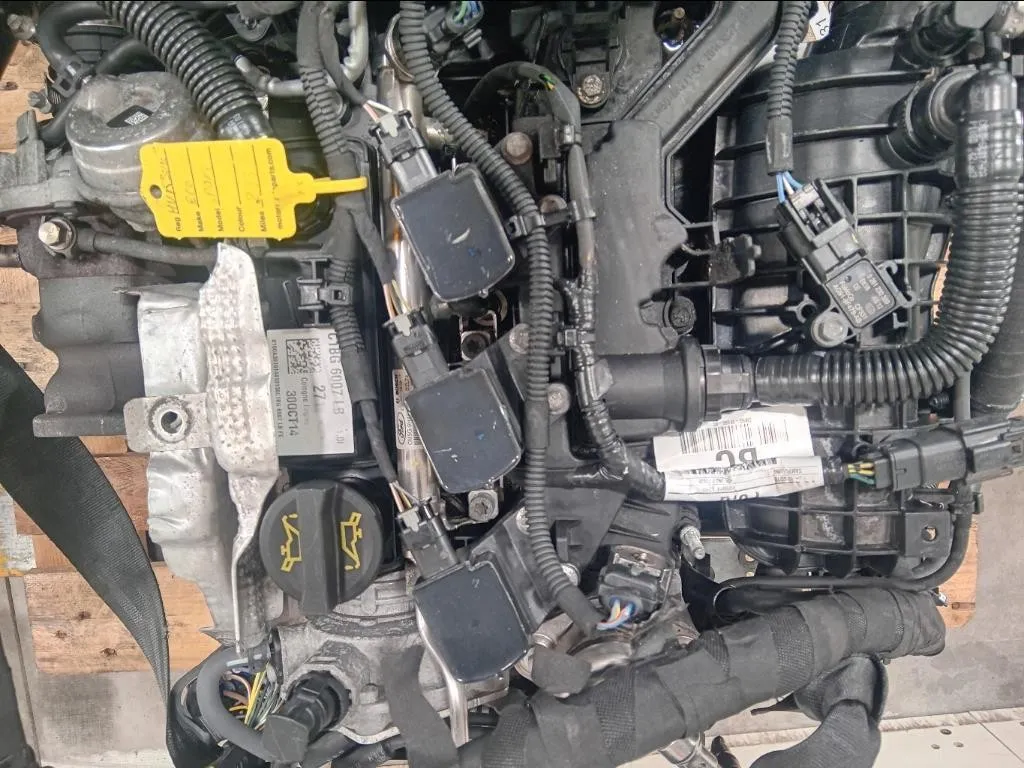 Motore Completo M1JJ 125 CV 91 KW Ford Ecosport 2017