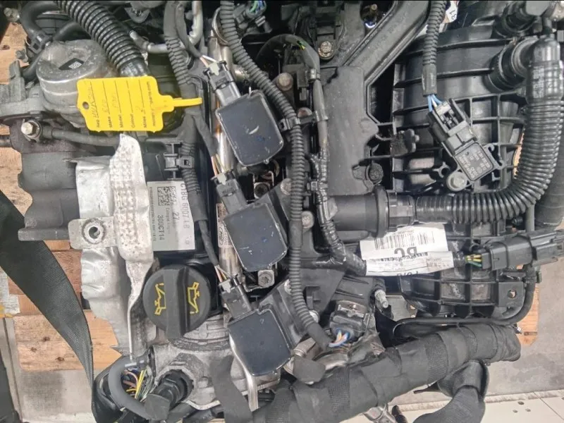 Motore Completo M1JJ 125 CV 91 KW Ford Ecosport 2017