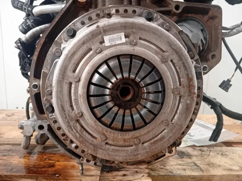 Motore Completo M1JJ 125 CV 91 KW Ford Ecosport 2017