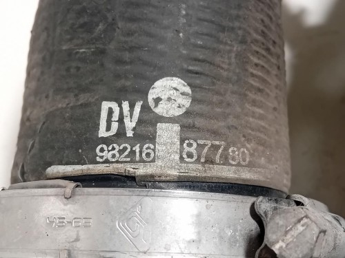 Manicotto Intercooler INF