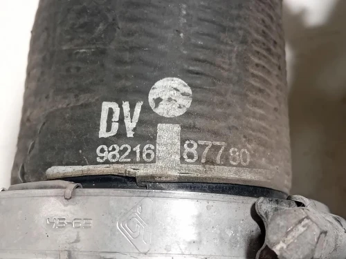 Manicotto Intercooler INF 9806788380 Opel Vivaro C 2019