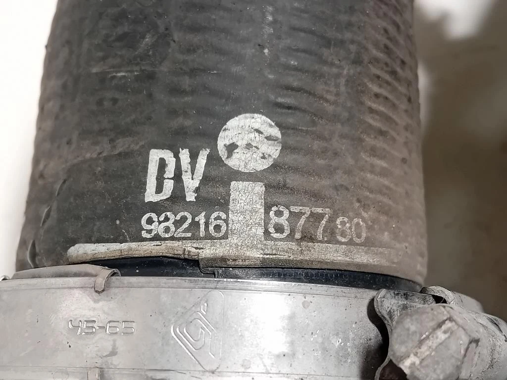 Manicotto Intercooler INF 9806788380 Opel Vivaro C 2019