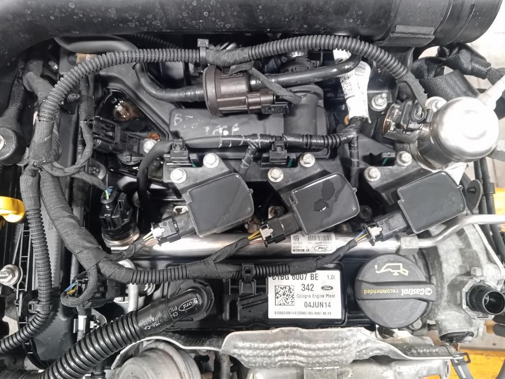 Motore Completo SFJA 101 CV 74 KW Ford Fiesta VI 2012