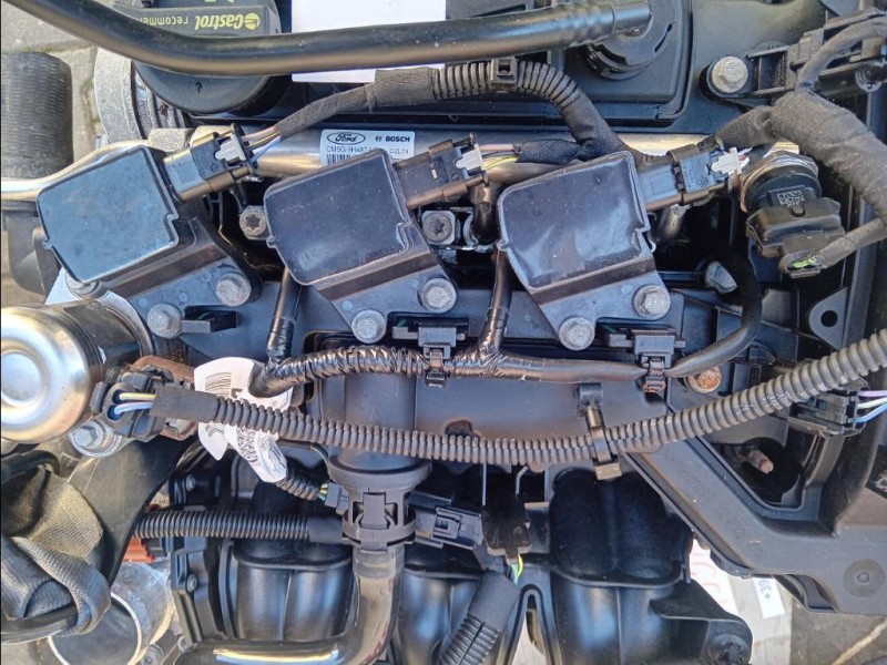 Motore Completo P4JA 80 CV 59 KW Ford Fiesta VI 2012