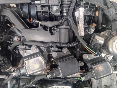 Motore Completo M1DD 125 CV 91 KW Ford Focus IV 2014