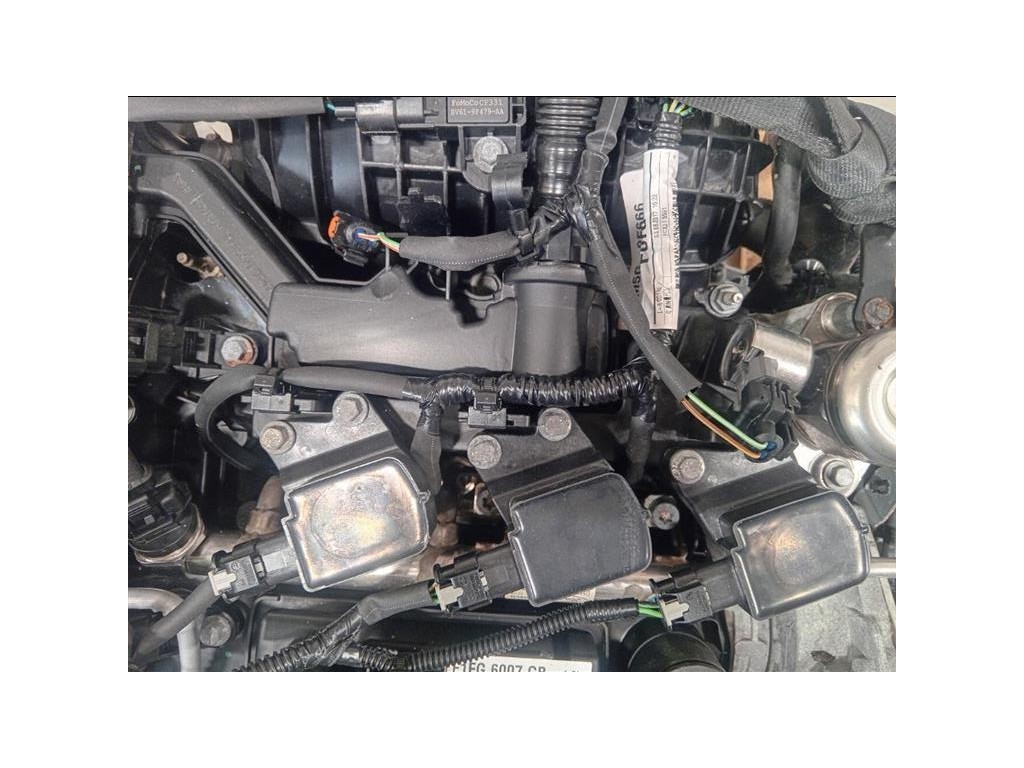 Motore Completo M1DD 125 CV 91 KW Ford Focus IV 2014